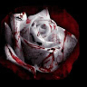 Meet your Posher, Shelly